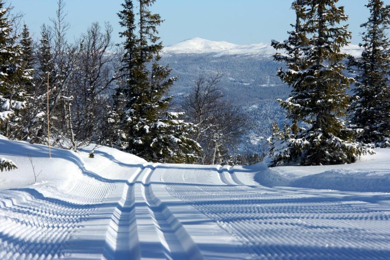 Ostello Kvitavatn Fjellstue *